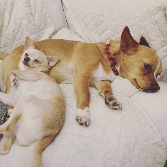 Meet your Posher, Chrissy - Picture 1 of 1